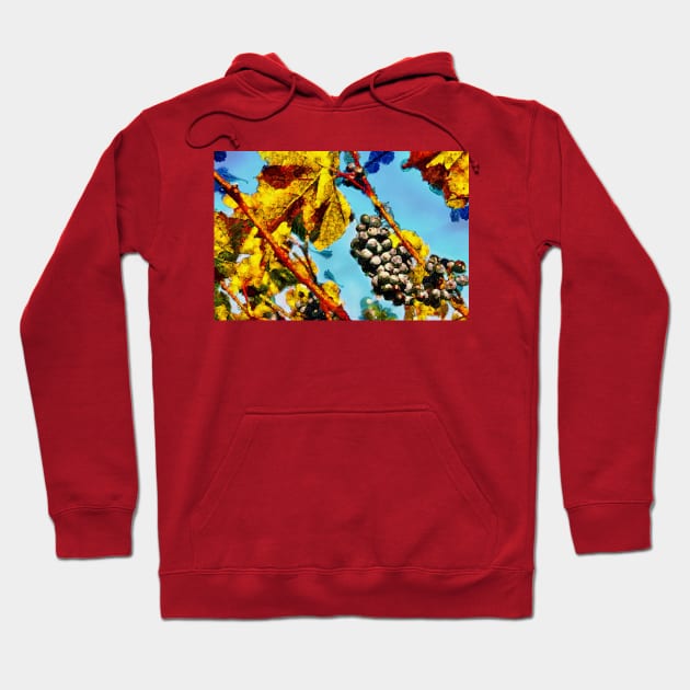 Fruit set painting Hoodie by Choulous79